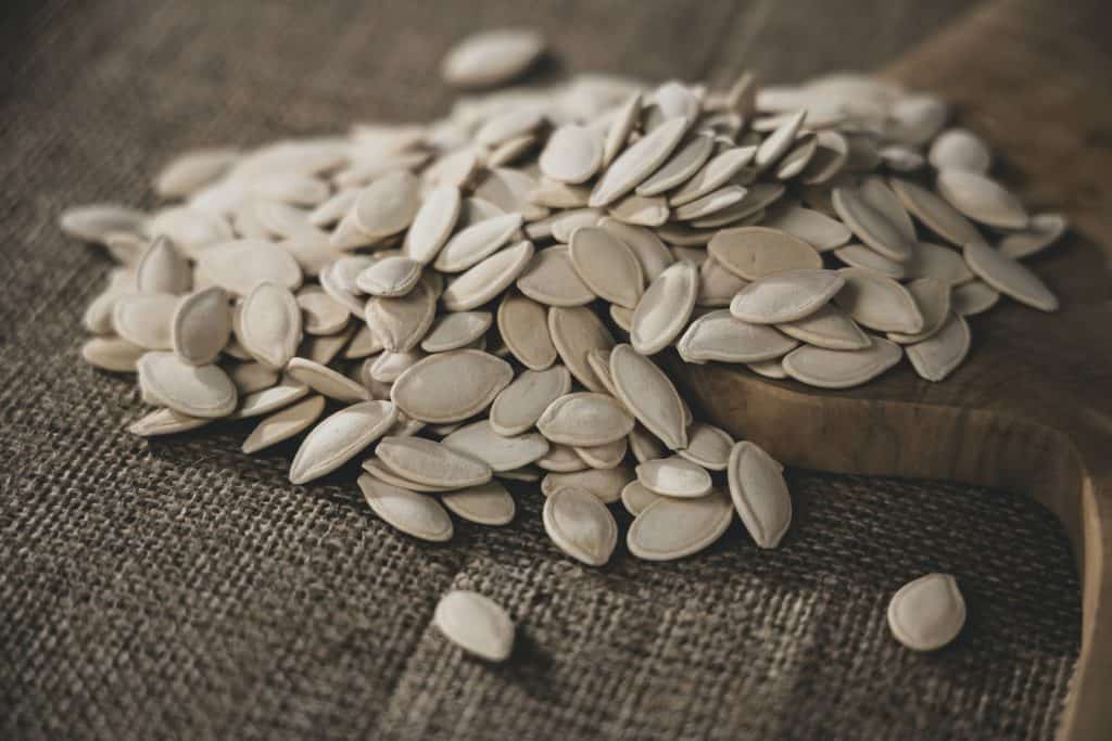 Can cockatiels eat pumpkin seeds