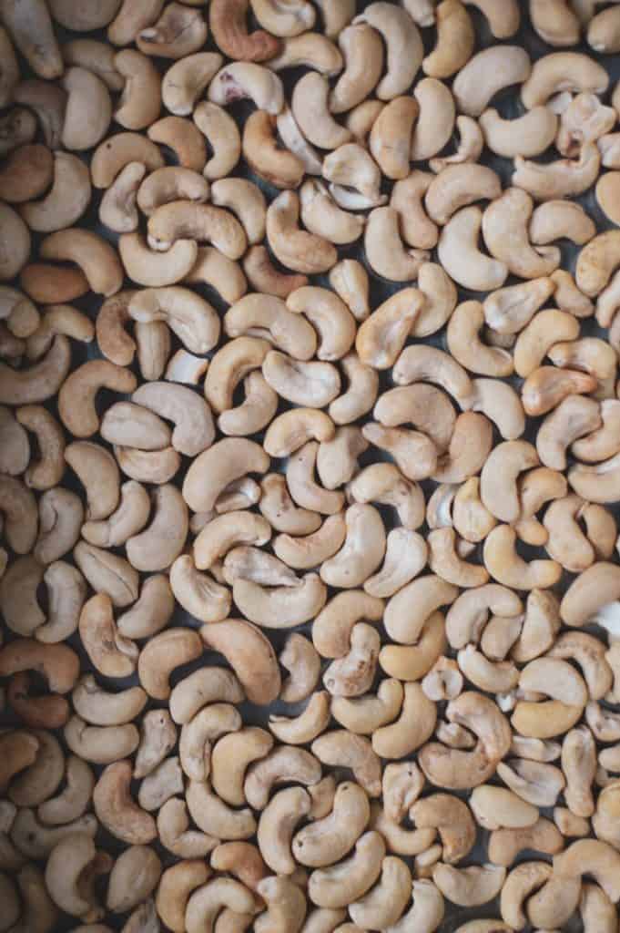 Can Cockatiels Eat Cashews