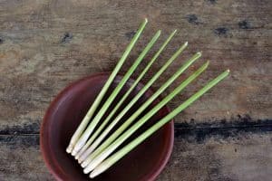 can cockatiels eat lemongrass