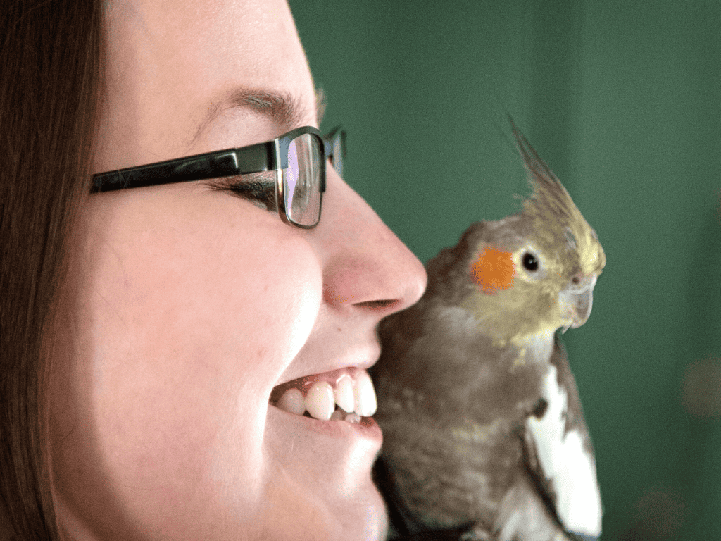 how good is a cockatiels memory