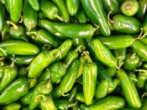 Can Cockatiels Eat Jalapenos