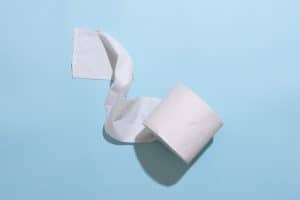 Are Toilet Paper Rolls Safe for Birds