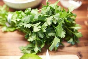 Can Cockatiels Eat Parsley