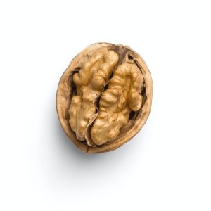 Can Cockatiels Eat Walnuts