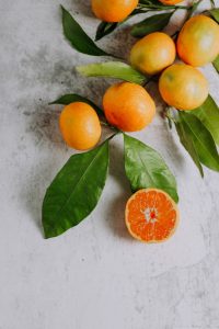 Can Cockatiels Eat Mandarins