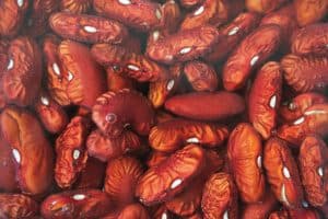 Can Cockatiels Eat Kidney Beans