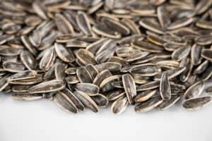 sunflower seeds
