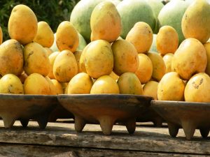 mangoes
